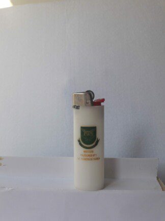 INSTITUTO POLITECNICO Nº 1 DE EJERCITO DE TIERRA