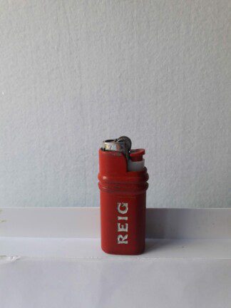 REIG