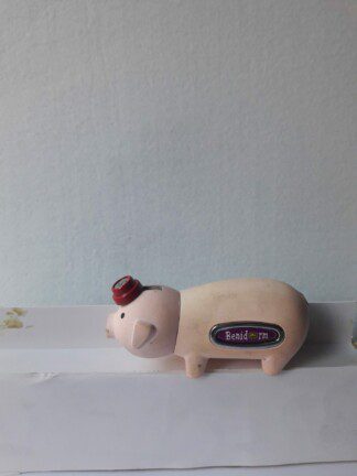cerdito con un sombrero de color rojo
